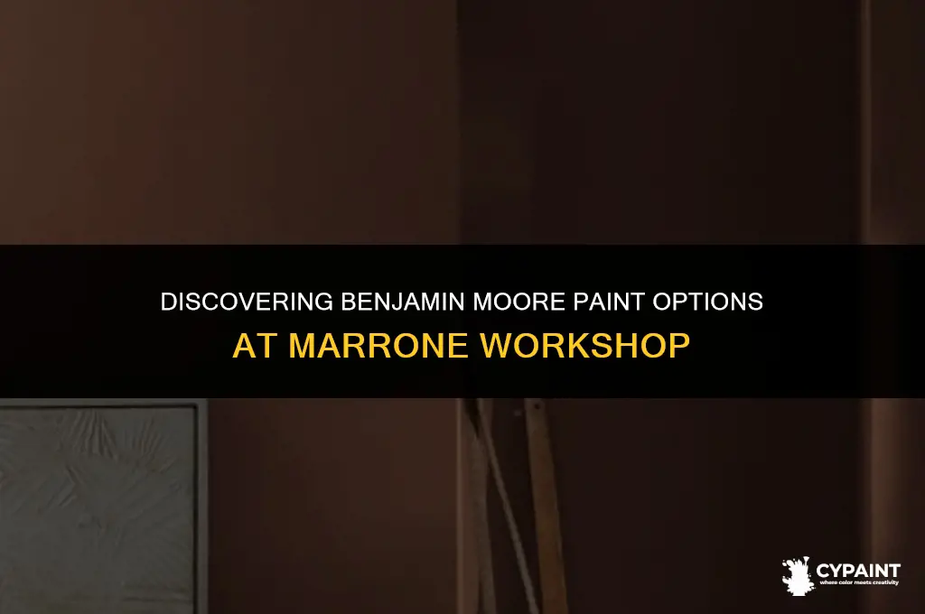where can i find benjamin moore paint in marrone work