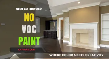 Discover Affordable Eco-Friendly Paint Options: Your Guide to Low-VOC Paints