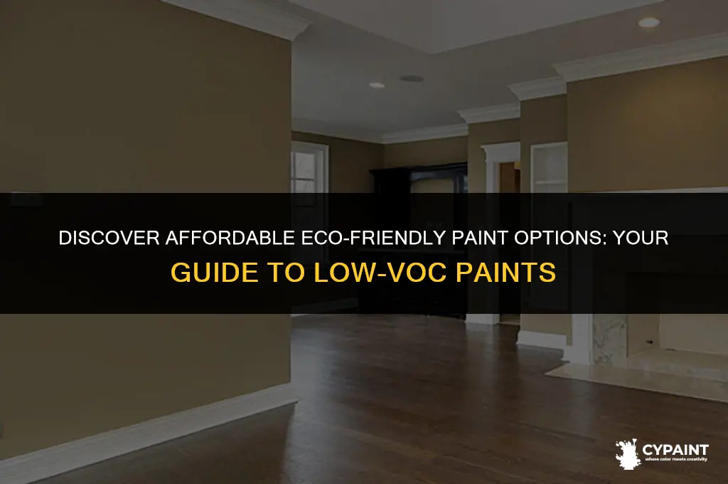 where can i find cheap no voc paint
