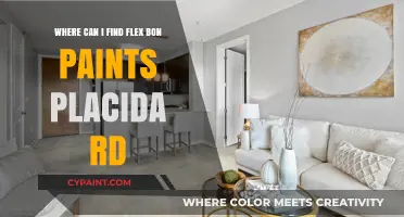 Discover Flex Bon Paints Near Placida Rd: Your Ultimate Guide