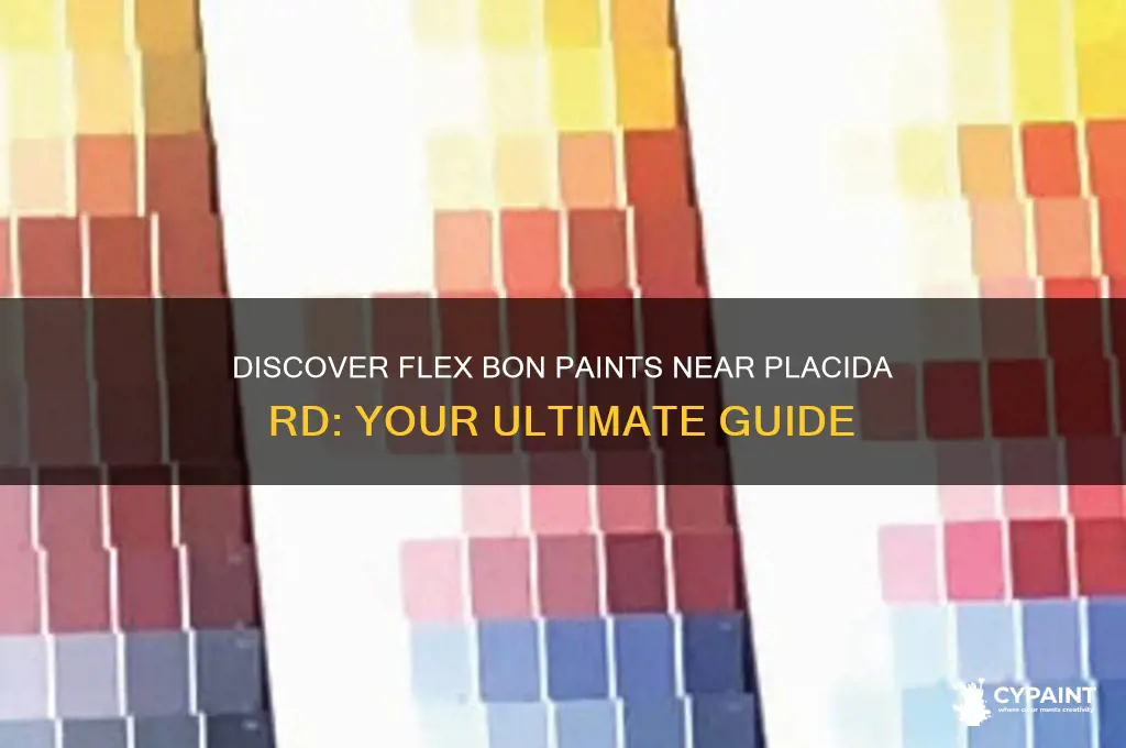 where can i find flex bon paints placida rd