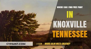 Discover Free Paint Resources in Knoxville, Tennessee: Your Ultimate Guide