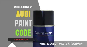 Decoding Your Audi's Paint Code: A Comprehensive Guide