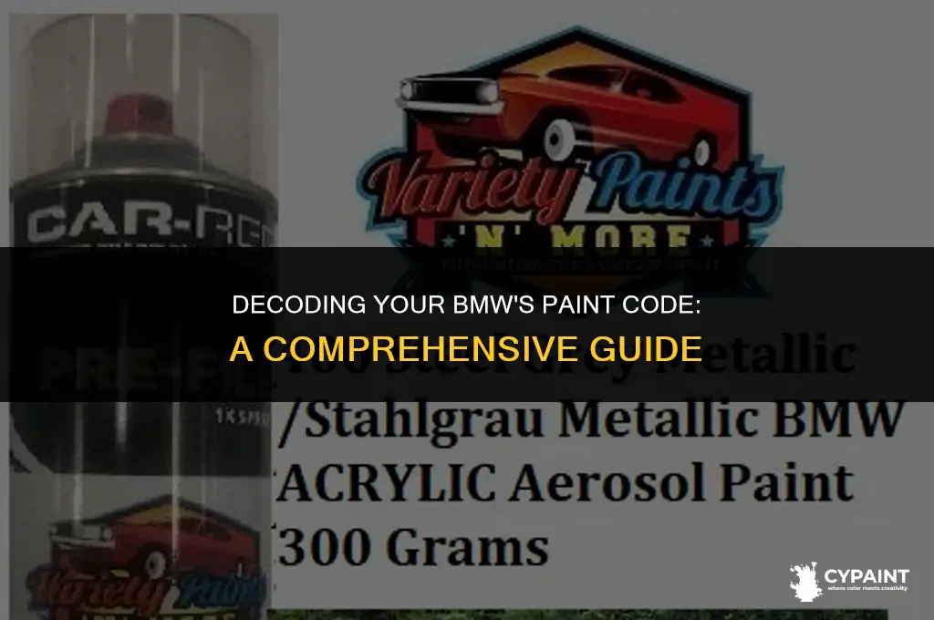 where can i find my bmw paint code