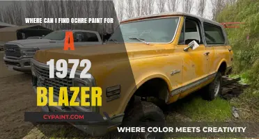 Reviving Retro Rides: Sourcing Ochre Paint for Your 1972 Blazer
