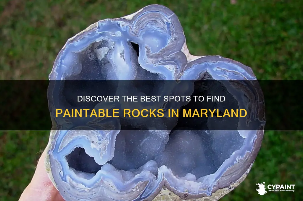 where can i find rockks to paint in md