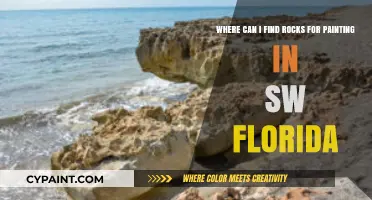 Discovering the Best Spots for Painting Rocks in SW Florida