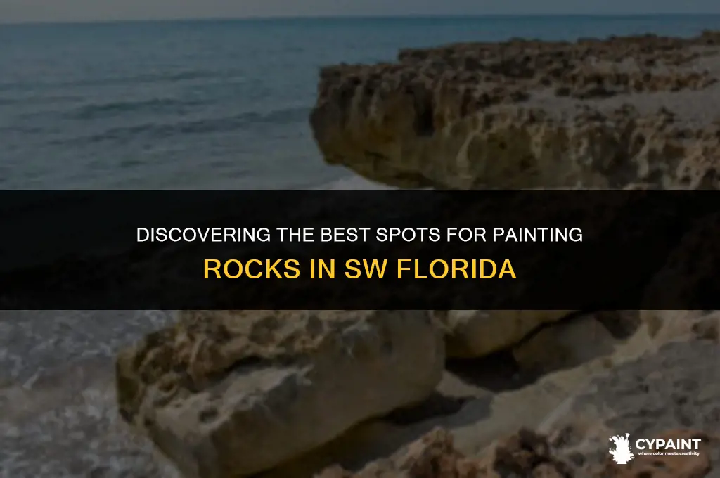 where can i find rocks for painting in sw florida