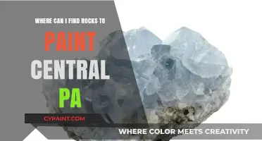 Discover Central PA's Best Spots for Rock Painting Supplies