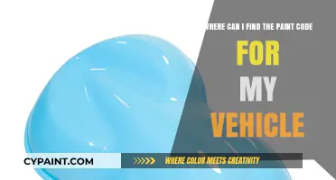 Decoding Your Vehicle's Paint Code: A Comprehensive Guide