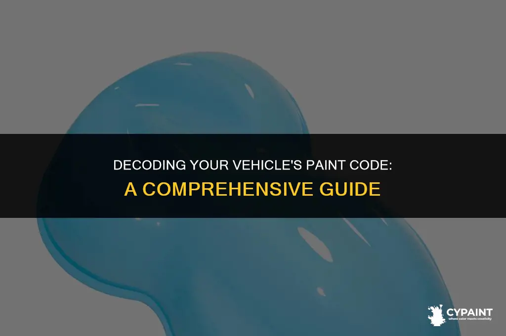 where can i find the paint code for my vehicle