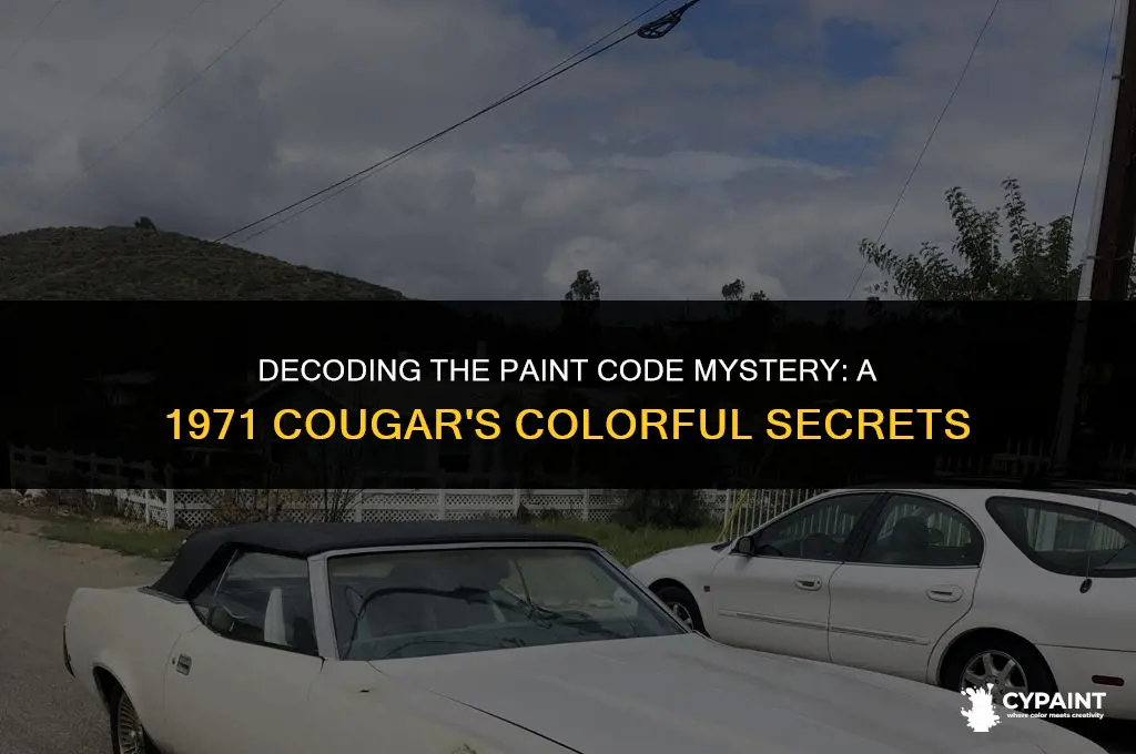 where can i find the paint code on 1971 cougar