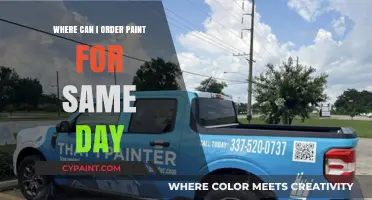 Where to Order Paint for Same-Day Pickup: A Comprehensive Guide