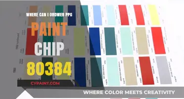 Where to Order PPG Paint Chip 80384: A Comprehensive Guide