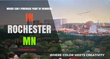 Unleash Your Inner Artist: Where to Find Paint by Numbers in Rochester, MN