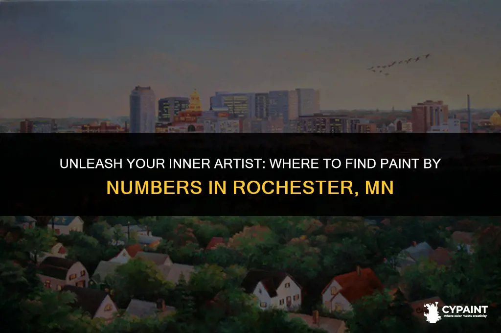 where can i purchase paint by numbers in rochester mn
