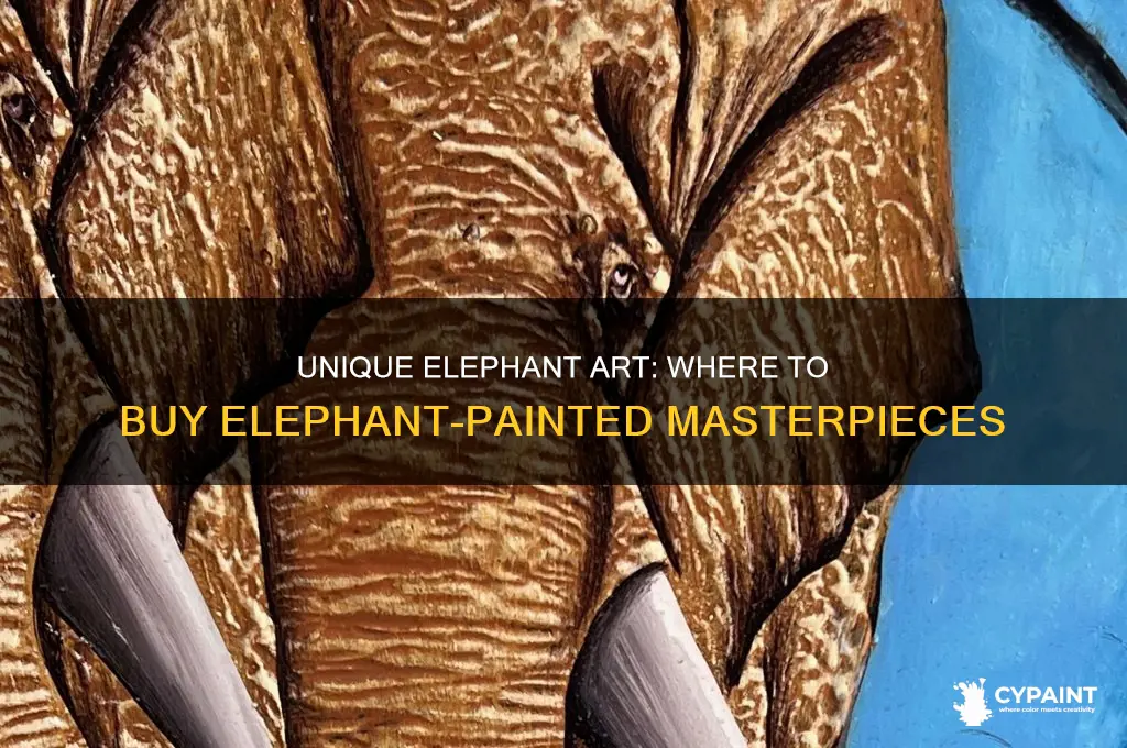 where can i purchase painting made by an elephant