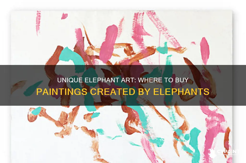 where can i purchase painting made by an ellephant