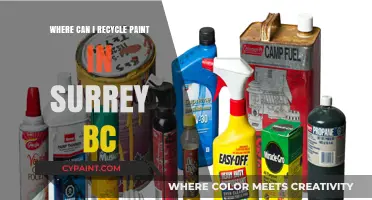Eco-Friendly Disposal: Where to Recycle Paint in Surrey, BC