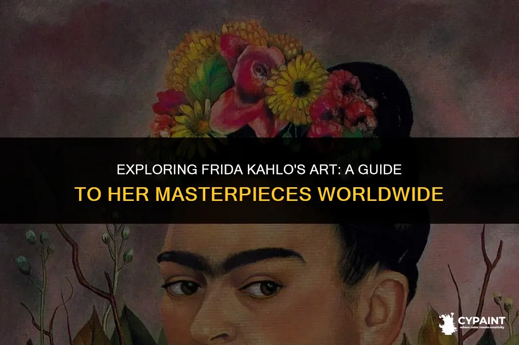 where can i see a frida kahlo painting