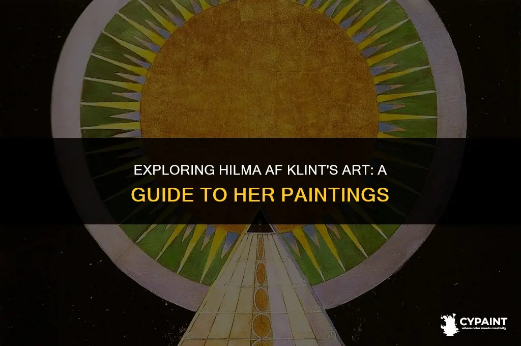 where can i see hilma af klint paintings