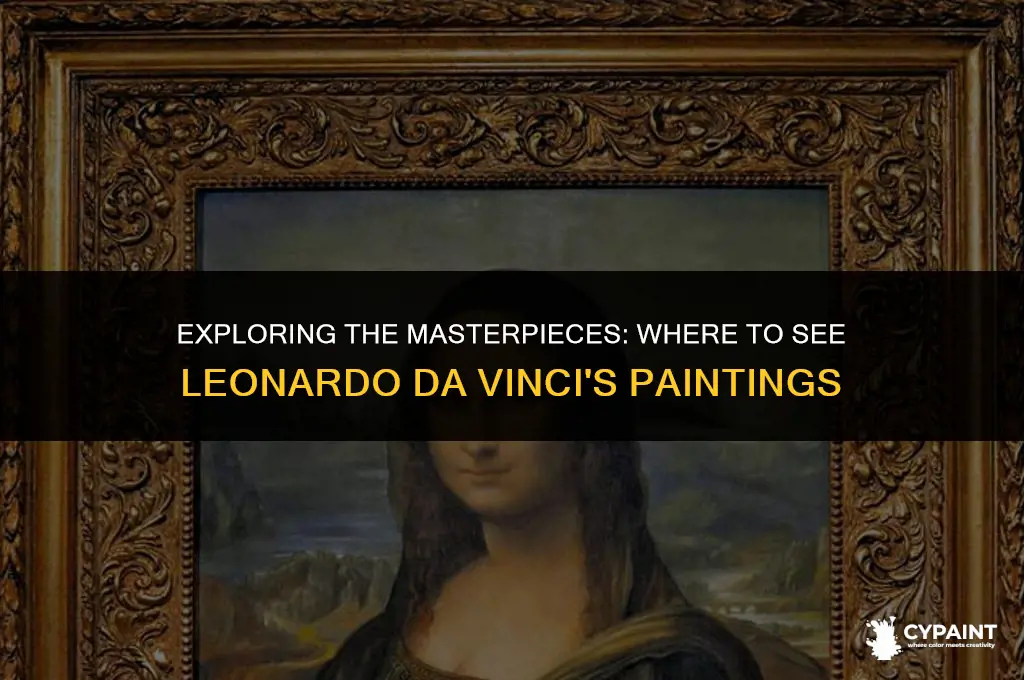where can i see leonardo da vinci paintings