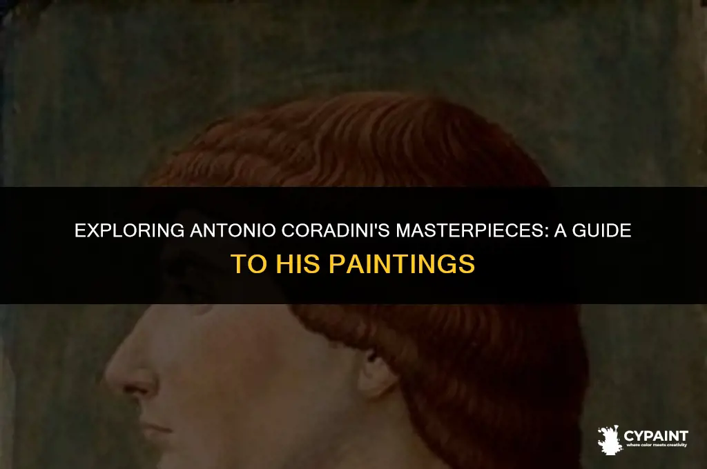 where can i see paintings by antonio coradini