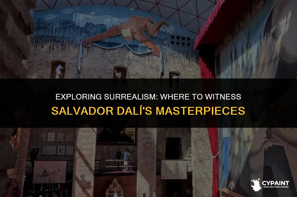 where can i see salvador dali paintings in real life