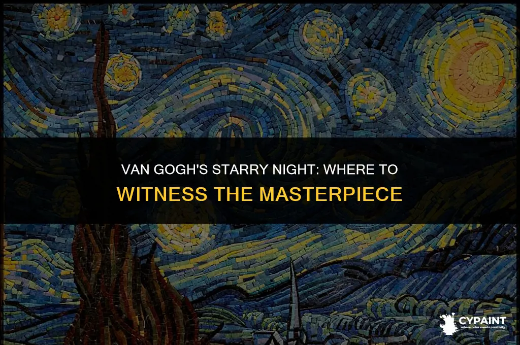 where can i see the starry night painting