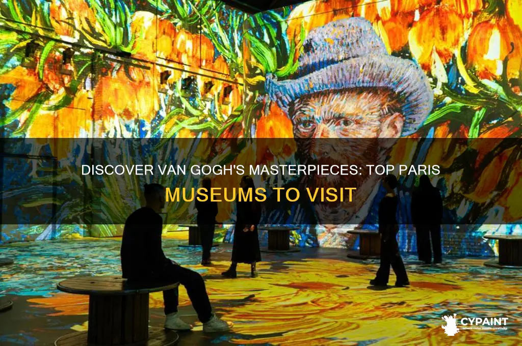 where can i see van gogh paintings in paris