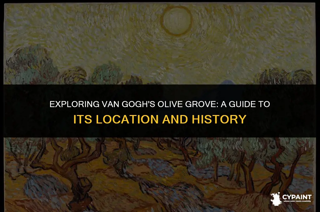where can i see van gogh
