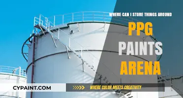 Best Storage Options Near PPG Paints Arena: Secure Your Belongings