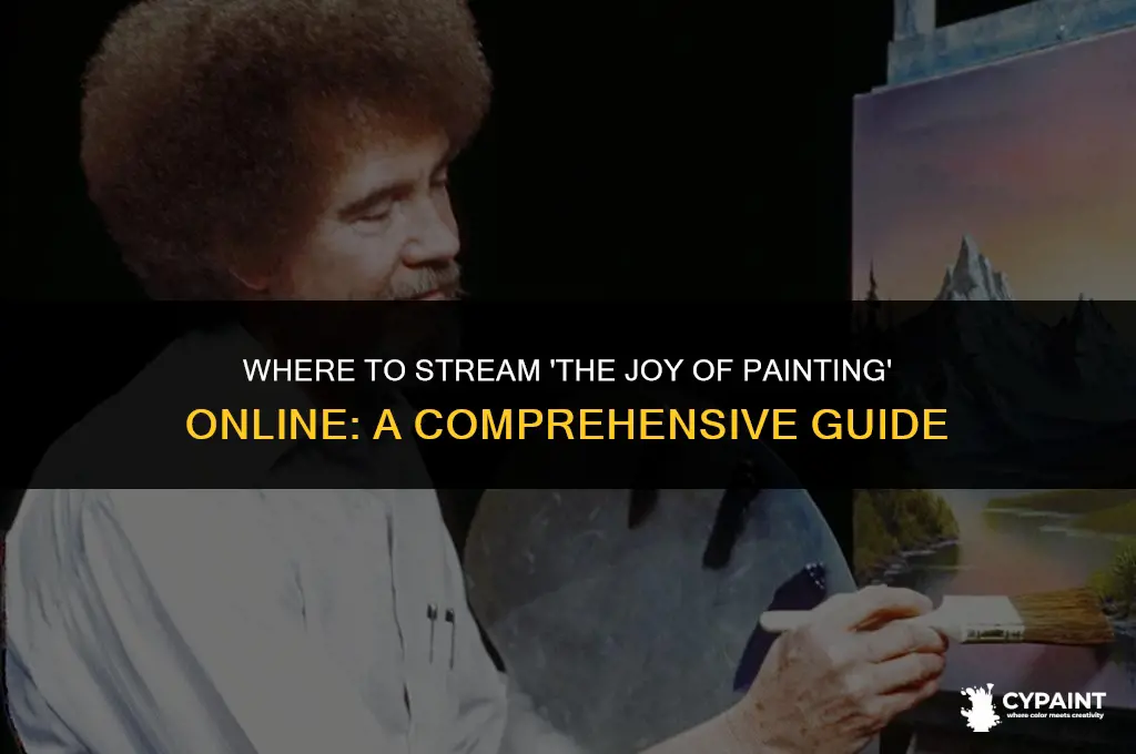 where can i stream the joy of painting