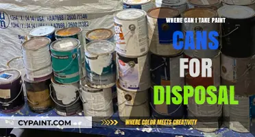 Eco-Friendly Disposal: Your Guide to Proper Paint Can Recycling