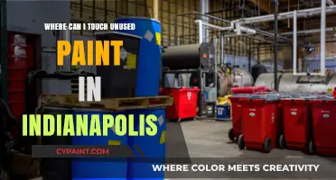 Exploring Indianapolis: A Guide to Touching Unused Paint Safely