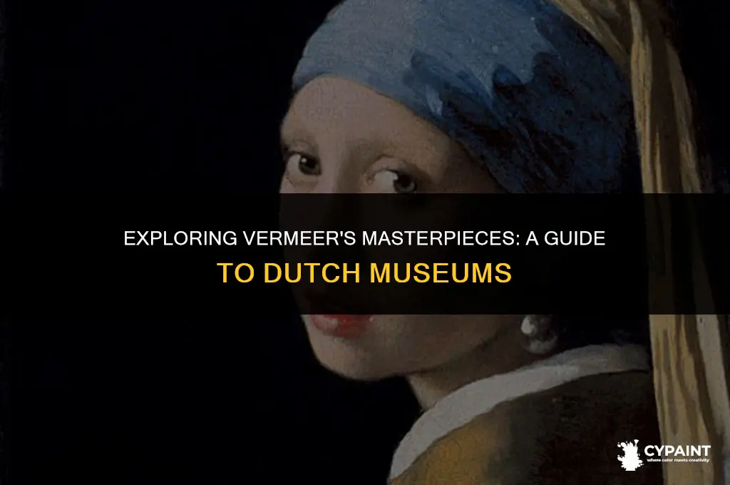 where can i view vermeer