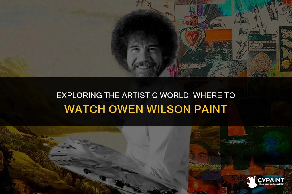 where can i watch paint with owen wilson