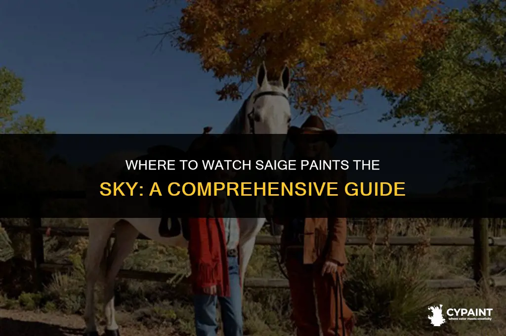 where can i watch saige paints the sky