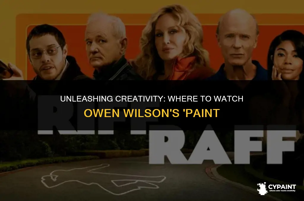 where can i watch the movie paint with owen wilson