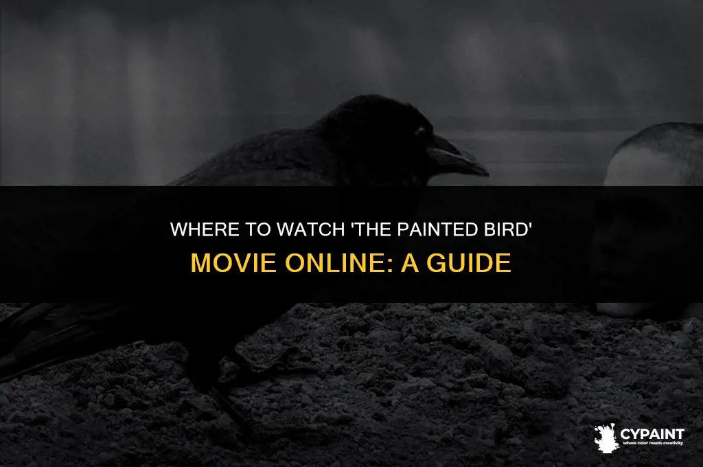 where can i watch the painted bird movie