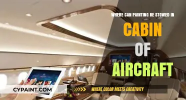 Aircraft Cabin Storage Solutions: Safely Stowing Paintings During Flights