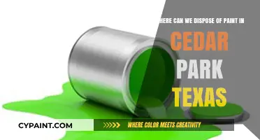 Eco-Friendly Paint Disposal Options in Cedar Park, Texas