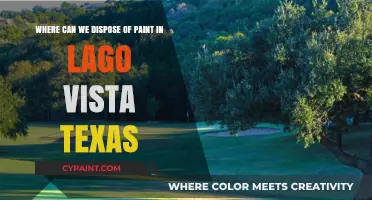 Eco-Friendly Paint Disposal Options in Lago Vista, Texas