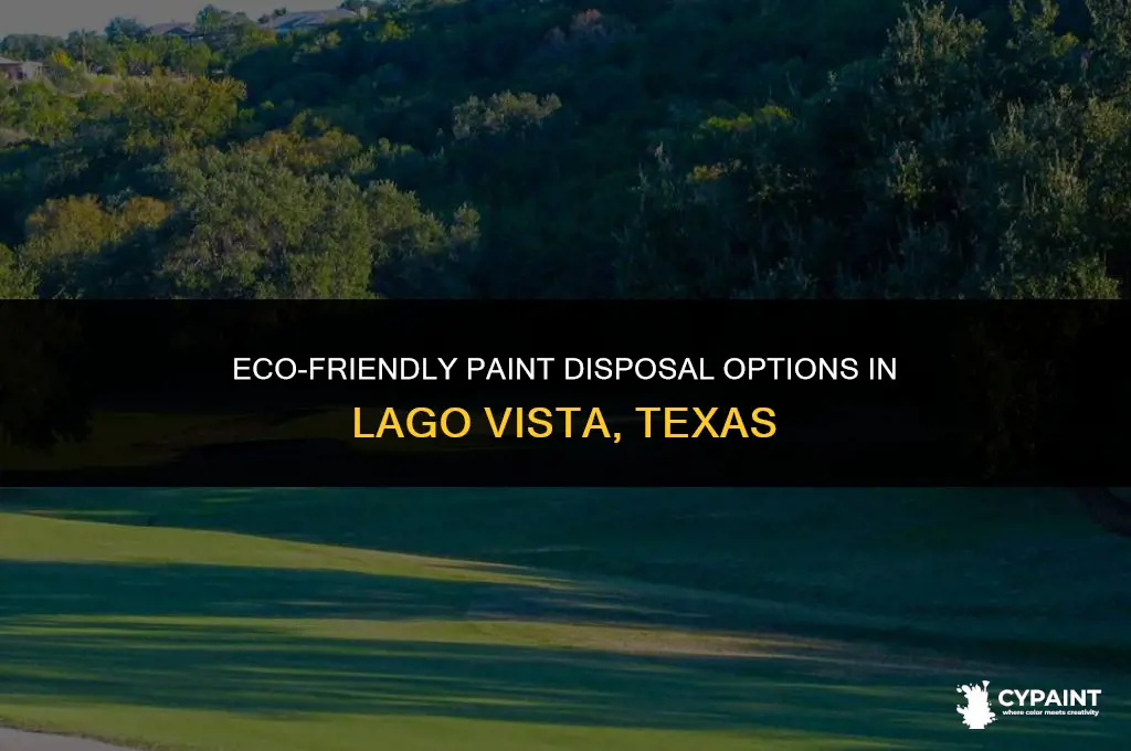 where can we dispose of paint in lago vista texas