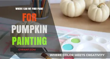 Exploring the Best Places to Find Paint for Pumpkin Art