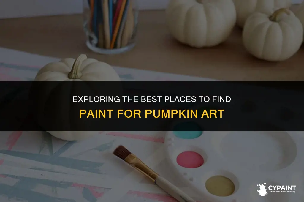 where can we find paint for pumpkin painting