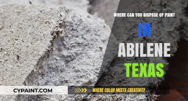 Eco-Friendly Paint Disposal Options in Abilene, Texas: A Guide