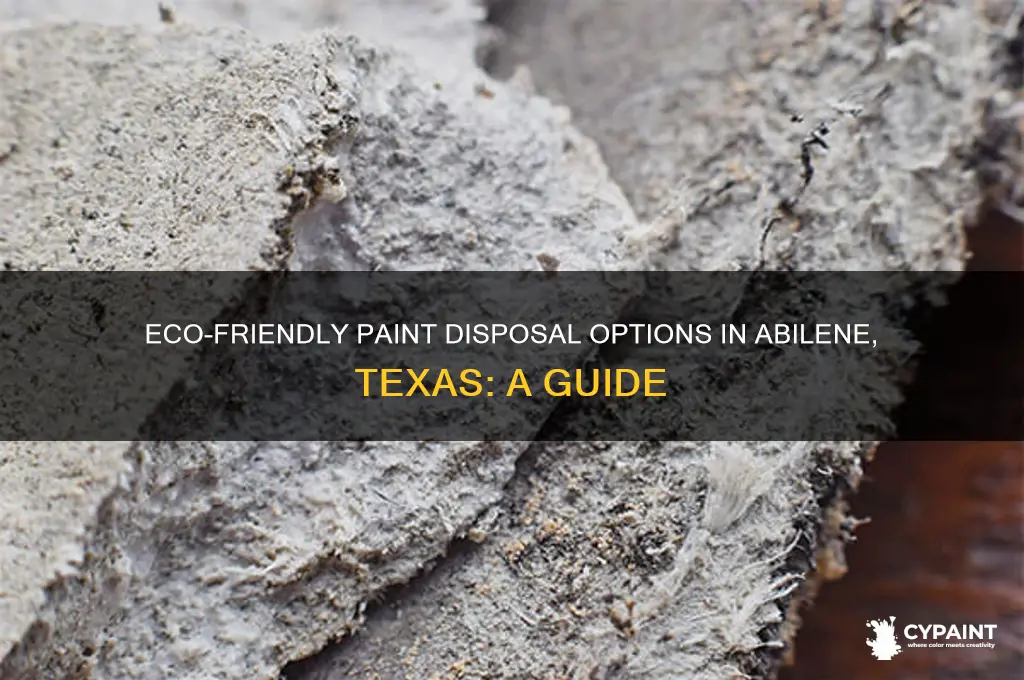 where can you dispose of paint in abilene texas