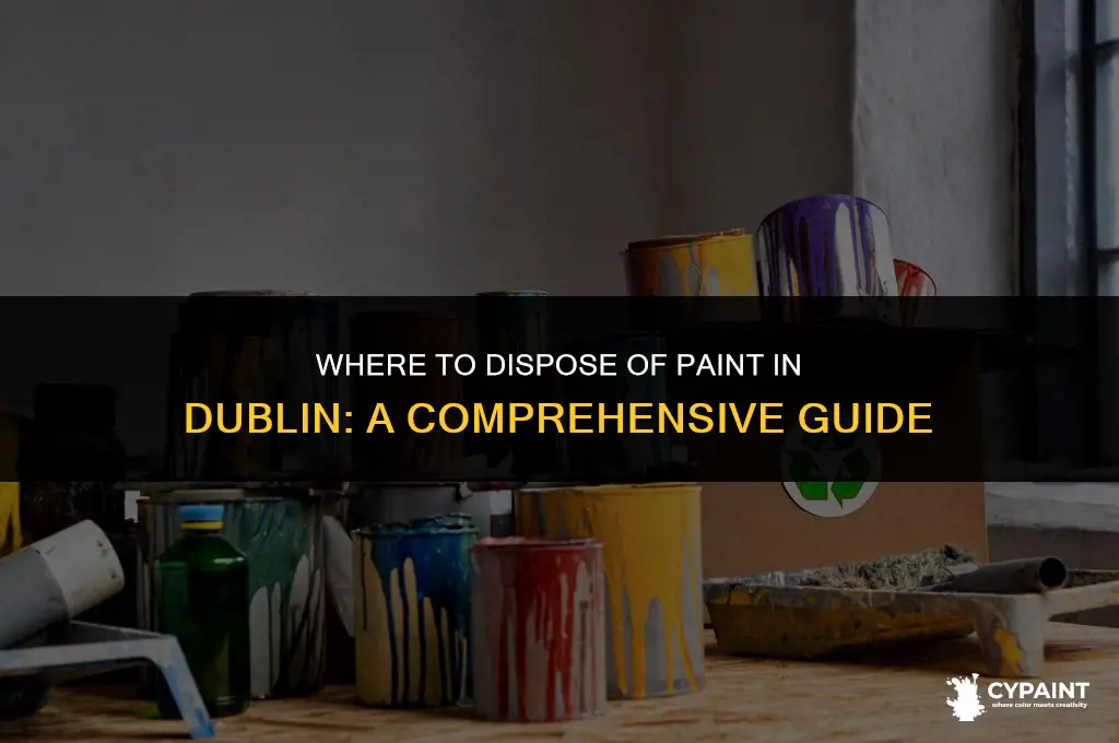 where can you dispose of paint in dublin