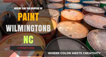 Eco-Friendly Paint Disposal Options in Wilmington, NC